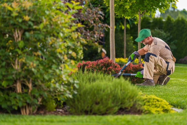 Landscaping photo from Adobe Stock