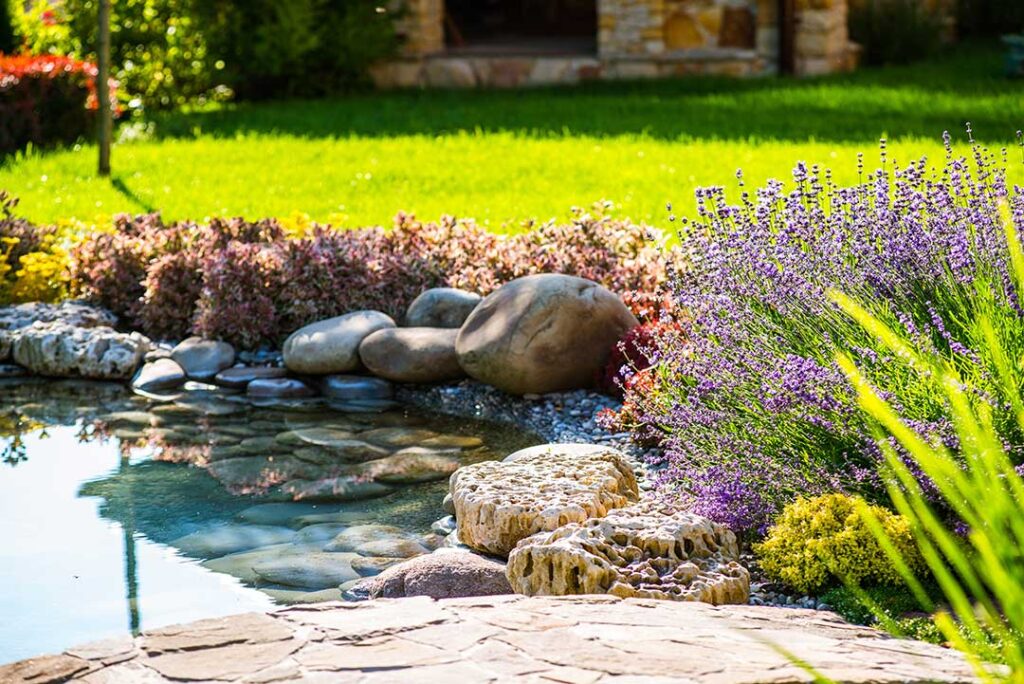 A homeowner planting drought-tolerant native shrubs and grasses along a sunny garden pathway.