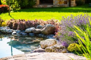 A homeowner planting drought-tolerant native shrubs and grasses along a sunny garden pathway.